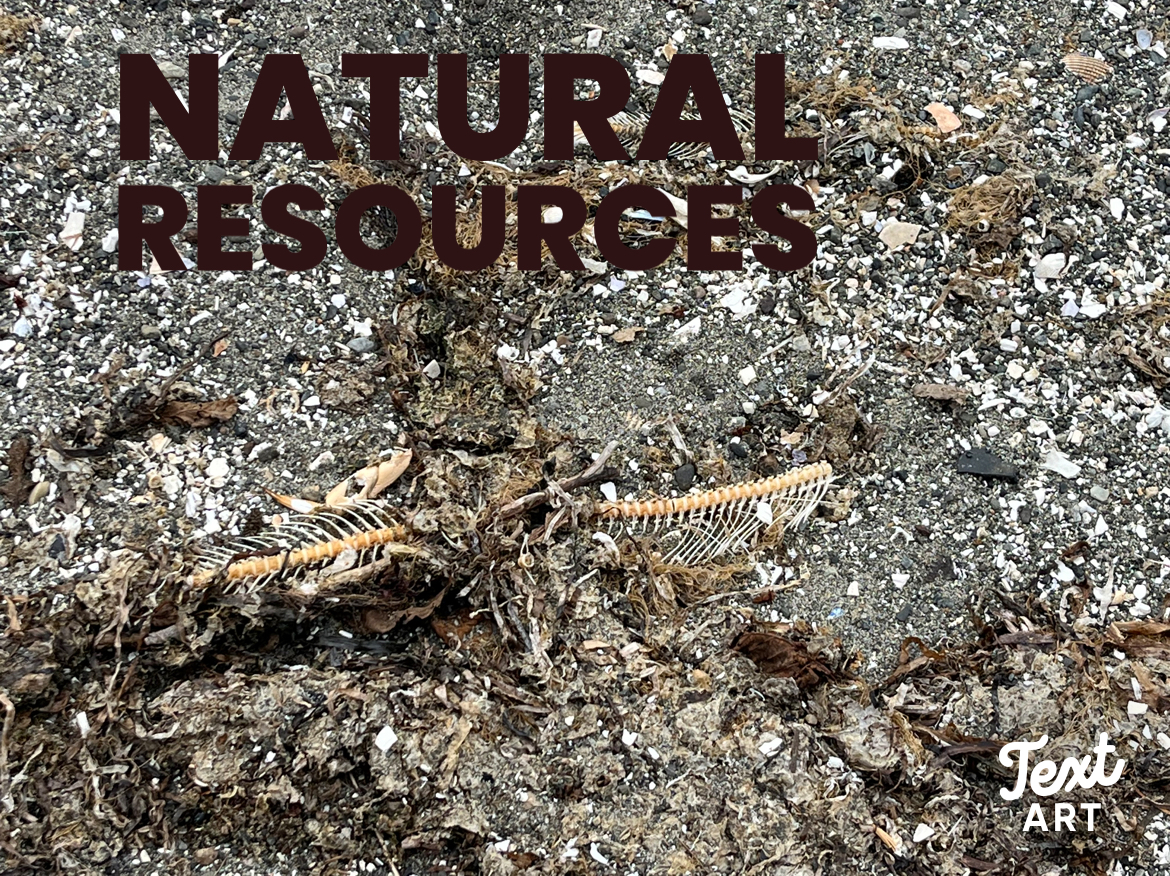 Natural Resources